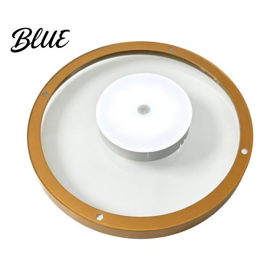 Modern Gold Metal Display Shelf Floating Wall with LED Light Rack Warm Ambient Light for Plants Book Space Saving Mounted Decor Hidden Bracket Sleek