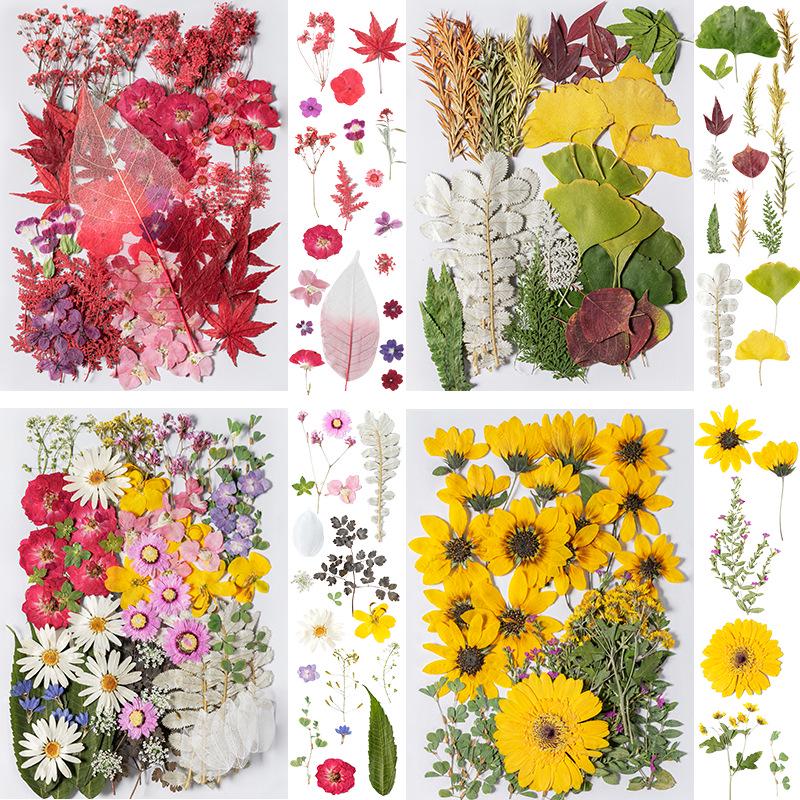 DIY Dried Flower Specimen Sticker Set for Kids: Handmade Pressed Flower Frames & Resin Bookmark Craft Kit