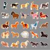 50 Cartoon Ponies Personalized Cute Animal Creative Decoration Water Cup Computer Mobile Phone Case Waterproof Stickers