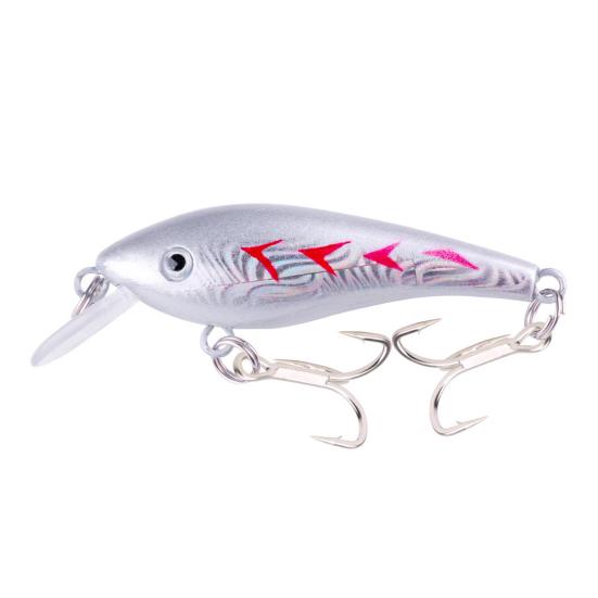 10Pcs Fishing Lures Hard Baits with Treble Hooks 3D Eyes