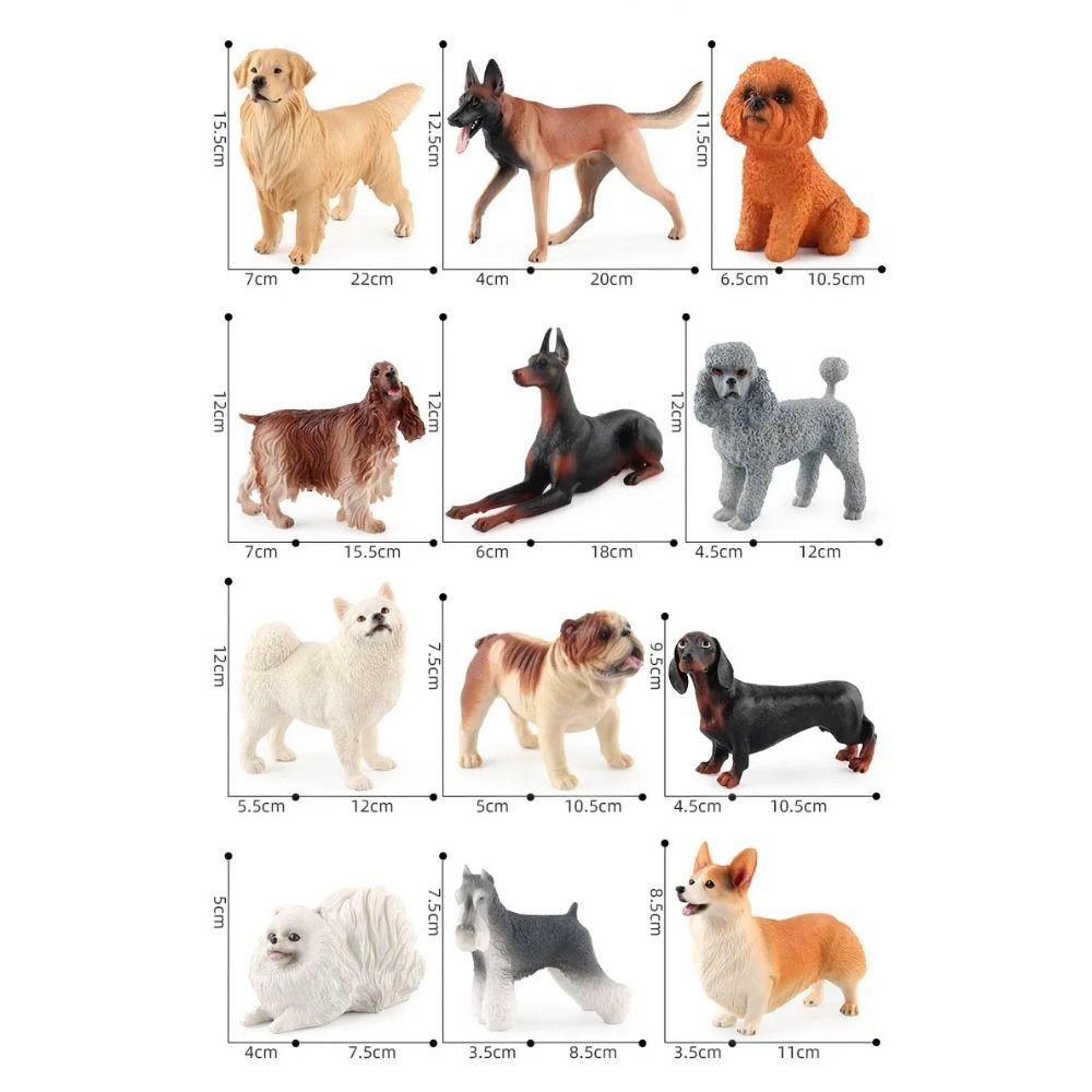 Solid Miniature Animal Model Realistic Dog Figurine Children's Toys   Collection