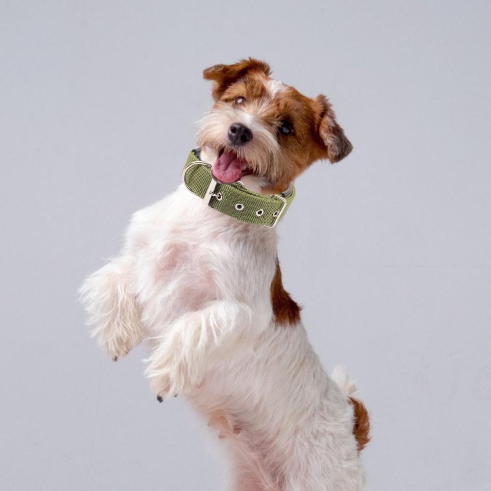 Dog Collars Nylon Adjustable Dog Neck Circle Longlasting Pet Neck Strap With Traction Ring Teddy Keji Pitbull Pet Supplies