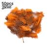 Feather Decorations for Colors 4.5-10cm Natural Chicken Guineahen Feathers Crafts 50Pcs Tail Bright Colored DIY