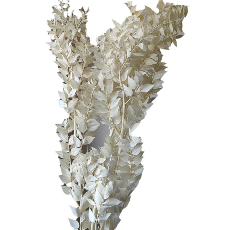 Rich Noble Leaf Dried Panda Bamboo Flowers - Photography Props for Weddings, Living Room, or Hotel Decorations