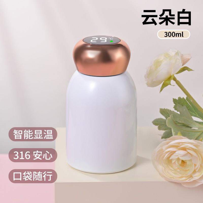 Stainless Steel Vacuum Insulated Travel Mug 300ml Portable Mini Cup Women Men Kids Office Outdoor