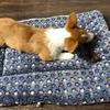 Haustier Hund Katze Stern Pfoten Bettmatte Weiche Fleece Decke Warme Schlafkissen Matratze