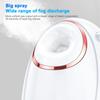 Facial Spray Moisturizing Device Portable Hydrating Facial Steamer Home Nano Heat Spray Facial