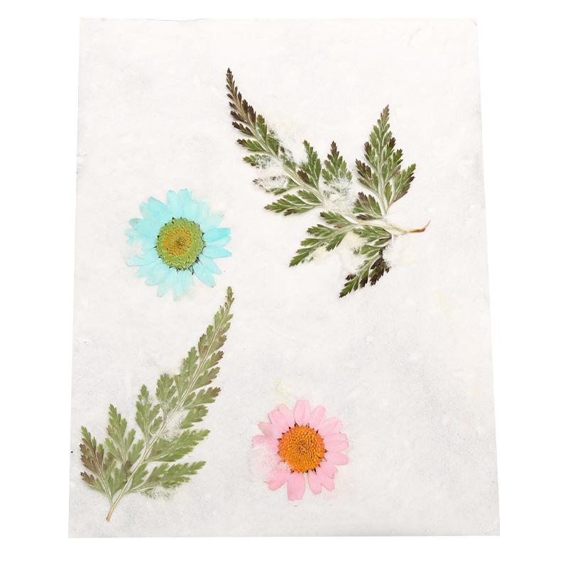 Ancient Papermaking Suit Children's Fun DIY Handmade Materials Flowers And Plants Papermaking Box Children's Hobby Interest Cultivation