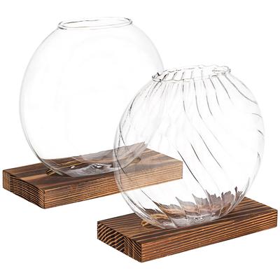 2 Pcs Glass Vases For Plants Glass Terrarium Glass Plant Holder Hydroponic Planter Terrarium Container Plant Desktop Planter