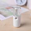 30ml Nano Mist Sprayer Visual Water Tank Portable Face Steamer Mini Beauty Device Handy Hydrating Sprayer for Eyelash Extensions