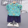 Sommerliches zweiteiliges Freizeit-Set für Jungen, Hemd und Shorts für Babys und Kleinkinder