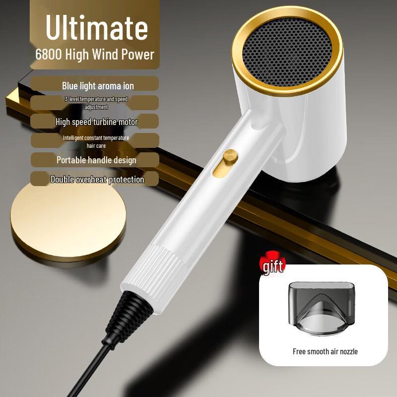 LISM Negative Ion Hair Dryer