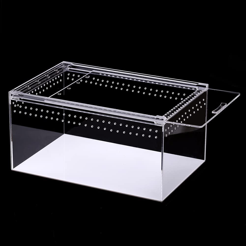 Breathable Reptile Terrarium, Transparent Acrylic Cage, Small Animal Reptile Box, Insect Case, Gecko, Snake, Lizard, Frog, Scorpion, Spider Cage, Isol