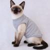 Pet Summer Vest Dog & Cat Fashion Role-playing Breathable Clothes Bichon Pomeranian Funny Internet Celebrity Slogan  Printed