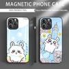Chiikawa Momonga Phone Case Iphone 16 Pro Max Case 15 14 13 12 11 X XR XS XSMAX 8 Plus Mini Pro Max Glass Magnetic Phone Case