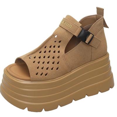 Hollow Hole Shoes for Women 2025 Summer New Matte Retro Fashion 8cm Heightened Thick Sole Sponge Cake Roman Sandals