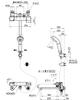 SANEI Thermostatic Shower Mixer Faucet with Purified Water Switch and Bubble Fully Ultra-Fine Generation, Plated, SK18CS76-13