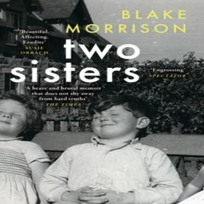 Two Sisters by Blake Morrison Paperback Book 9780008510565