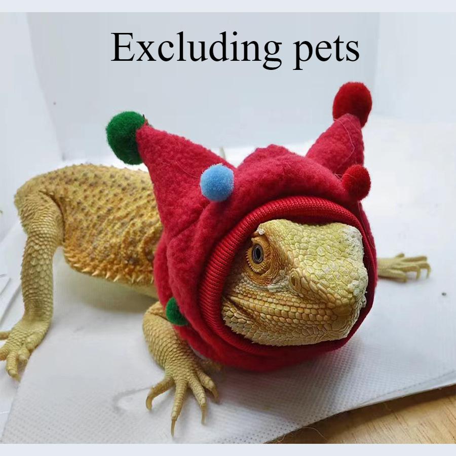 Creative Lizard Transformation Outfit Funny Horn Ball Hat Scarf Halloween Lizard Hat Clothes Climbing Pet Decoration Props