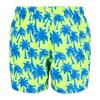 Regatta Mens Loras Palm Swim Shorts