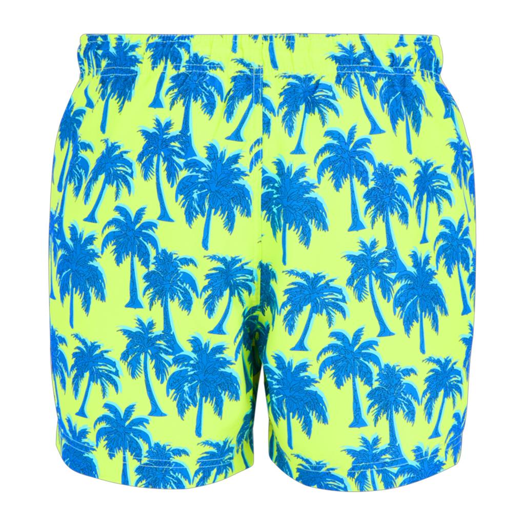 Regatta Mens Loras Palm Swim Shorts