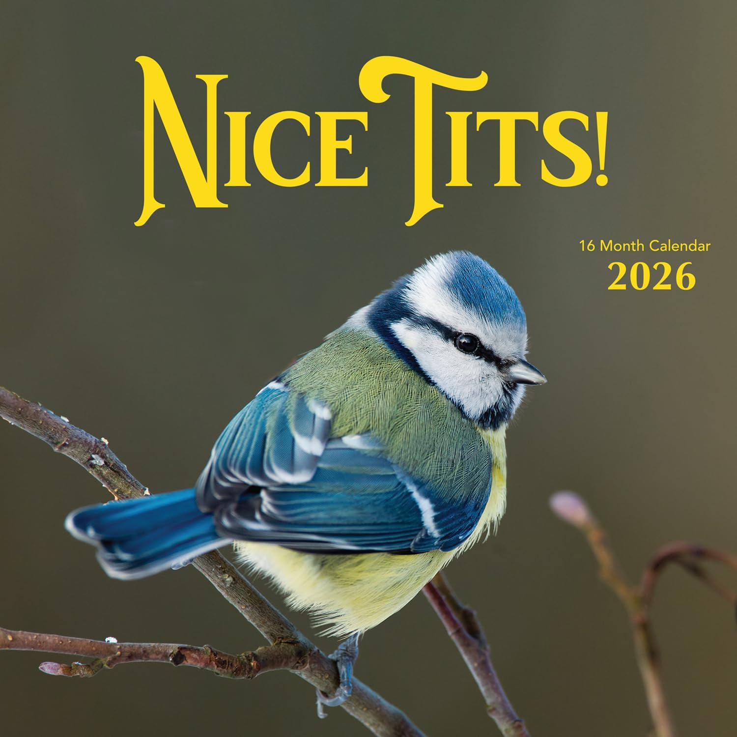 2026 Rooster Big Cocks Birds Monthly Wall Calendar Fun Funny Bird Watching Birders Joke Gift Dirty Prank Elephant Secret Santa Gifts (2026 Big Cocks) 2026 Nice Tits