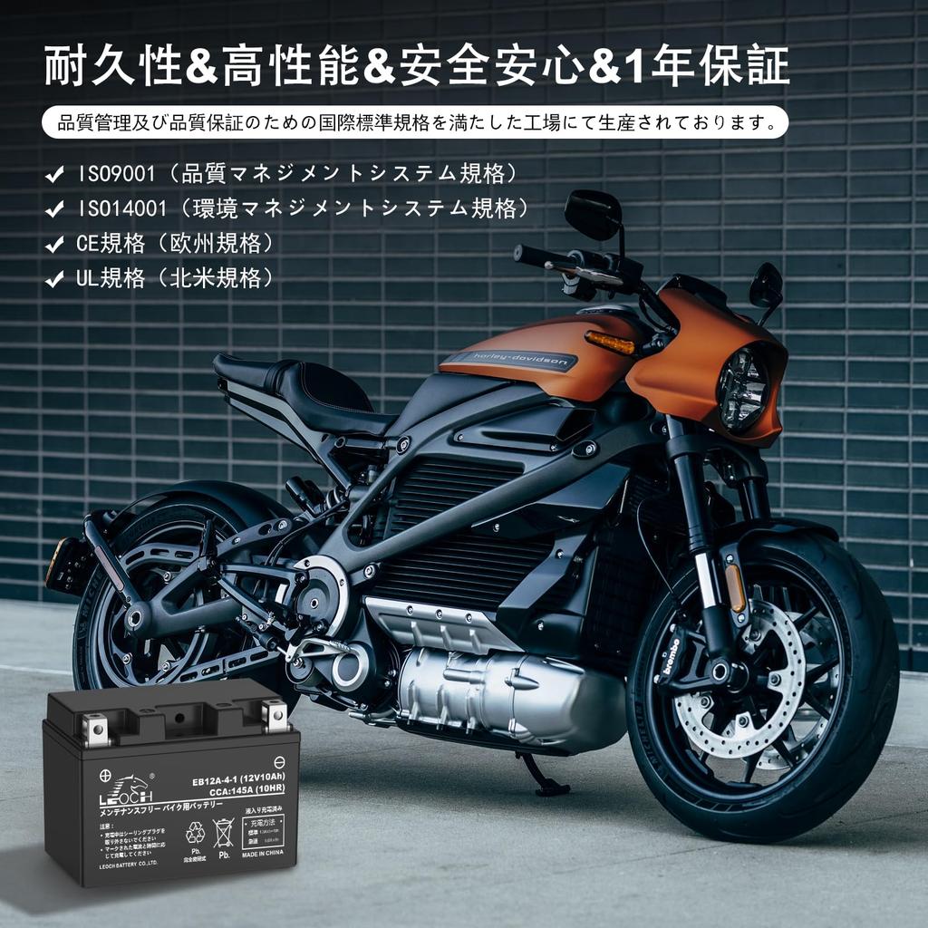 LEOCH Compatible 12V 10Ah Sealed Battery for and for Skywave 400 YT12A-BS EB12A-4-1 Motorcycles, Maintenance-Free, Pre-filled Charged, 250/Skywave