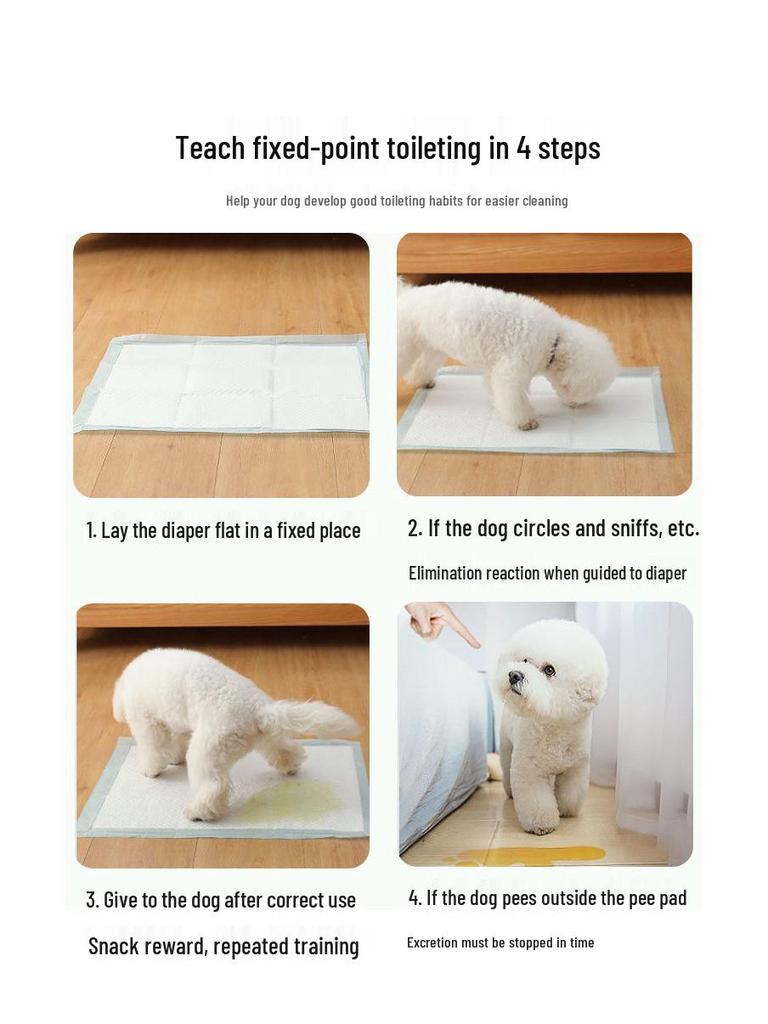 Thick Disposable Dog Pee Pads with Strong Absorption & Waterproof Design