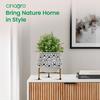 Pots for Plants, Plant Pots for Home Decoration, Succulent Pot, Indoor Planter Garden Decor Style: Botanic Bliss