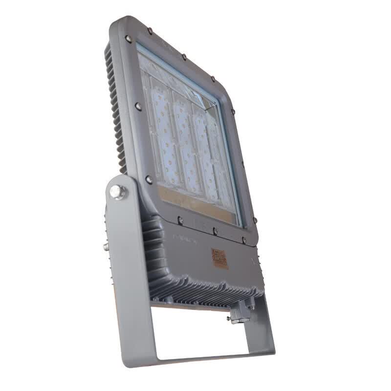 Warom RLEEXL5330 200W LED Explosion-Proof Floodlight