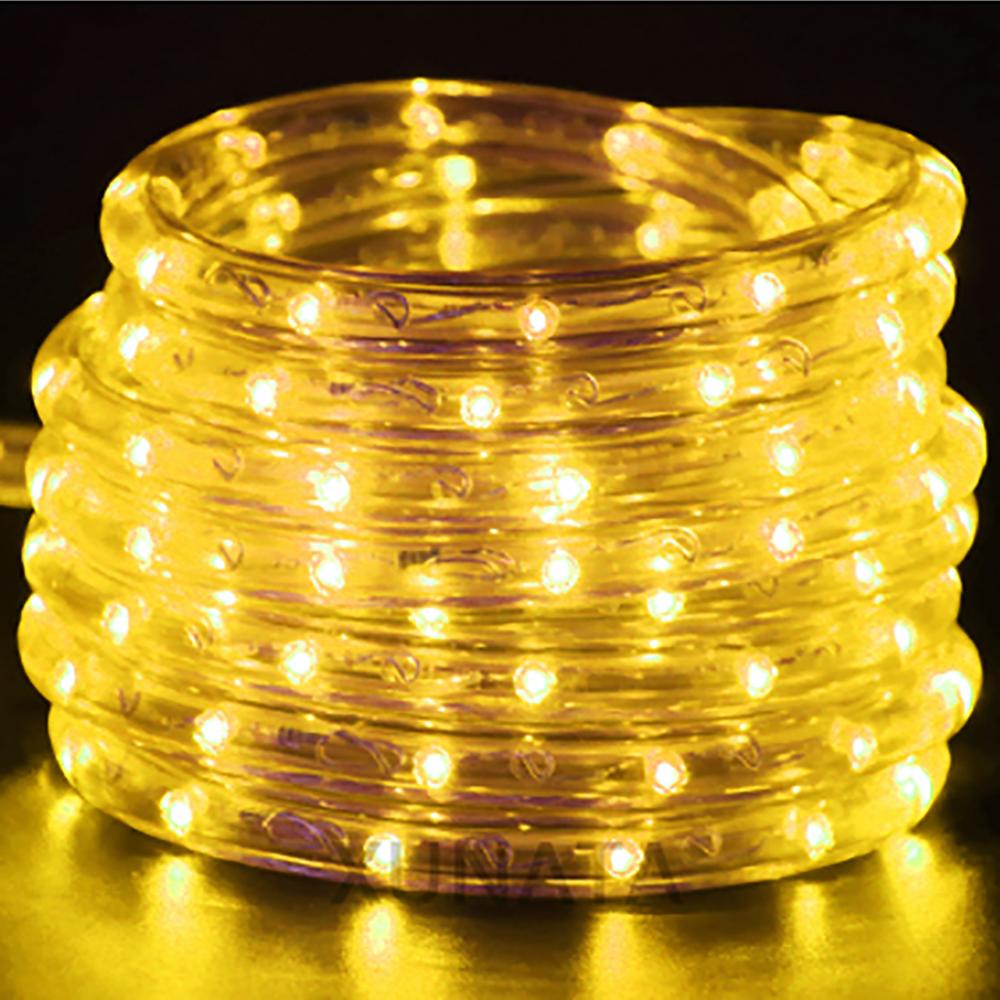 360 Neon Strip Light AC 220V Round Neon Tube Outdoor Waterproof IP67 Flexible Neon Light with EU Plug Blue/Red/Green/Yellow/RGB