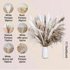 Dried Pampas Grass Decor, 100 PCS Pampas Grass Contains Bunny Tails Dried Flowers, Reed Grass Bouquet for Wedding Boho Flowers Home Table Decor