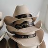 Competitive Western Cowboy Hat 100% Wool Fedora Hat For Women Men Riding Hat Autumn Panama Big Brim Cowgirl Hat Sombrero Vaquero