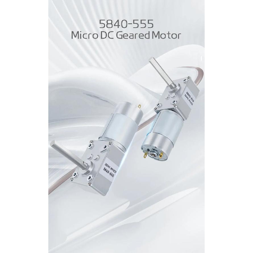 5840-555 Miniature Worm Gear Reduction DC Motor 12V-24V Single-Direction Long D-shaped Shaft Reversible High-torque Geared Motor