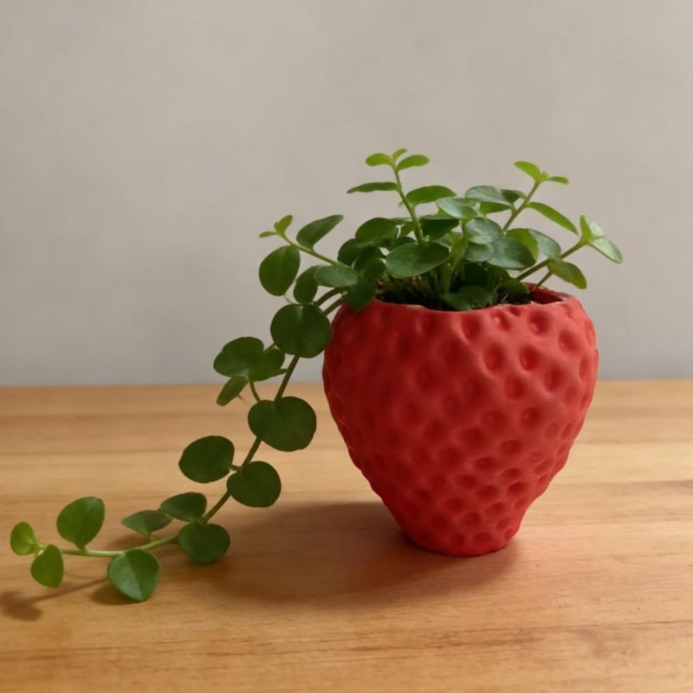 Ornaments Strawberry Storage Box Sweet Mini Plant Pot Creative Strawberry Flower Pot  Kitchen Use