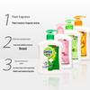 Dettol Healthy Antibacterial Hand Wash