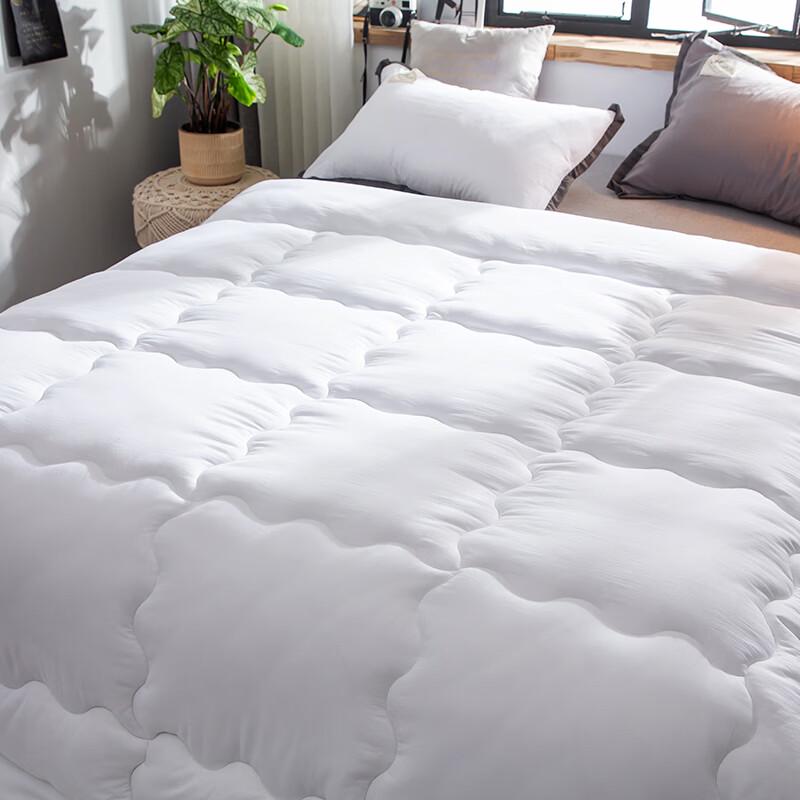 CHANSI Solid Color Nordic Winter Quilt