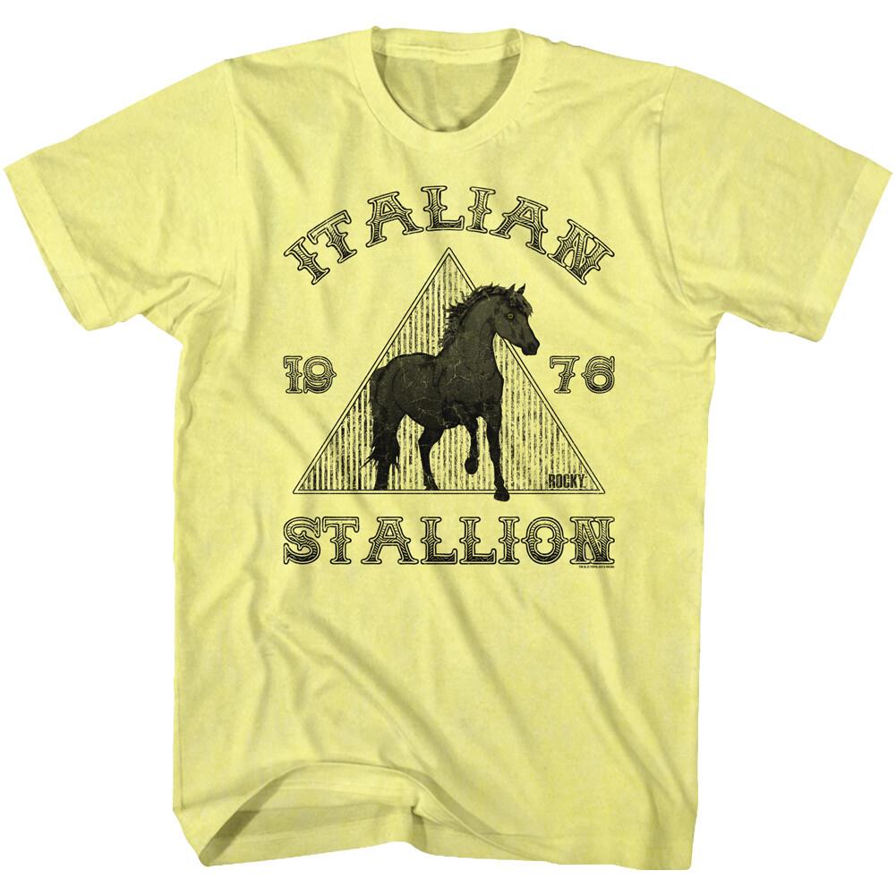 Rocky Movie Italian Stallion Pyramid Black Stallion Photo 1976 Men T Shirt XXXXL