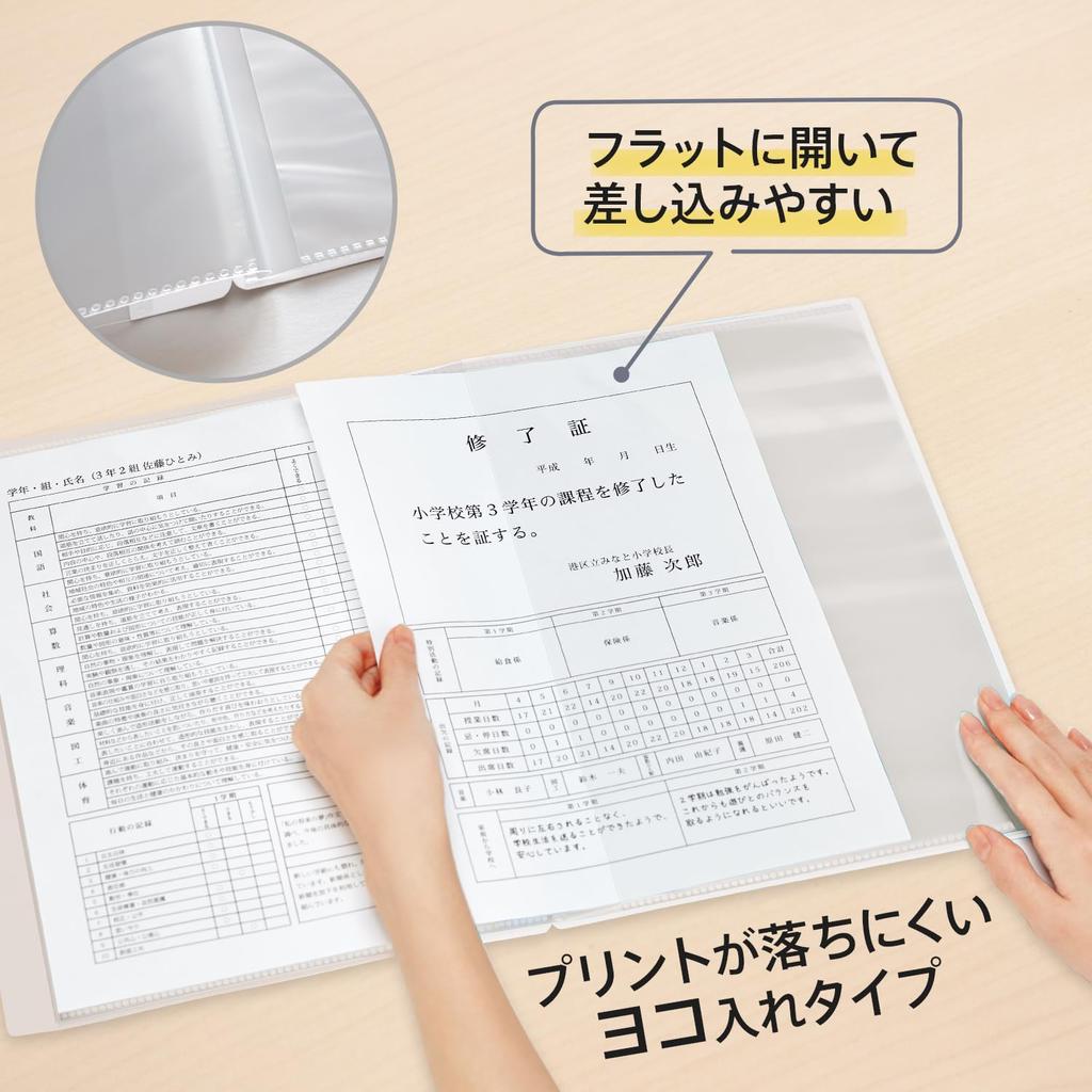 Plus Pocket Report Card Horizontal 10 Pack of x 10 File, File, Insert, Pockets, 10, White, FL-198GD, 79-975