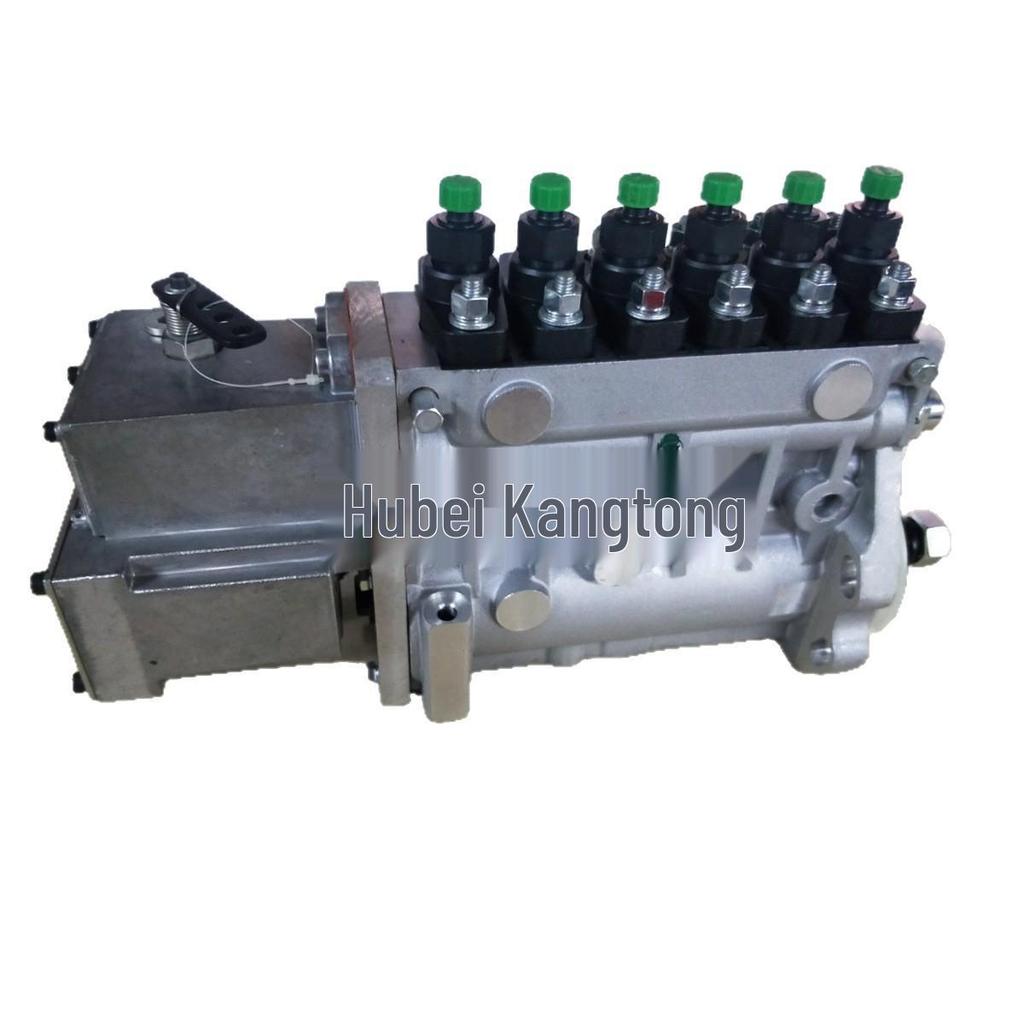 Tianwei Fuel Injection Pump Assembly for Cummins 6BTA5.9