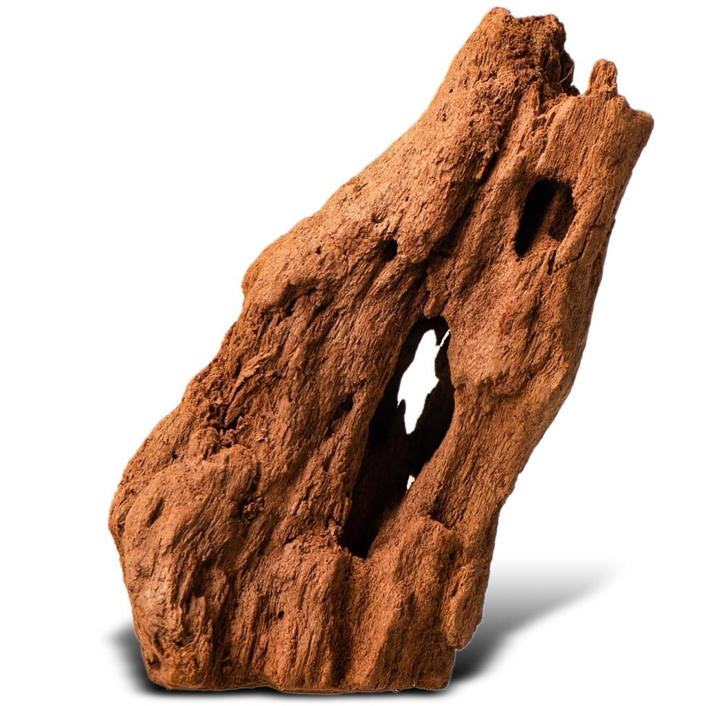 Driftwood Root Natural Xxs 10Cm Freshwater Plant Aquarium