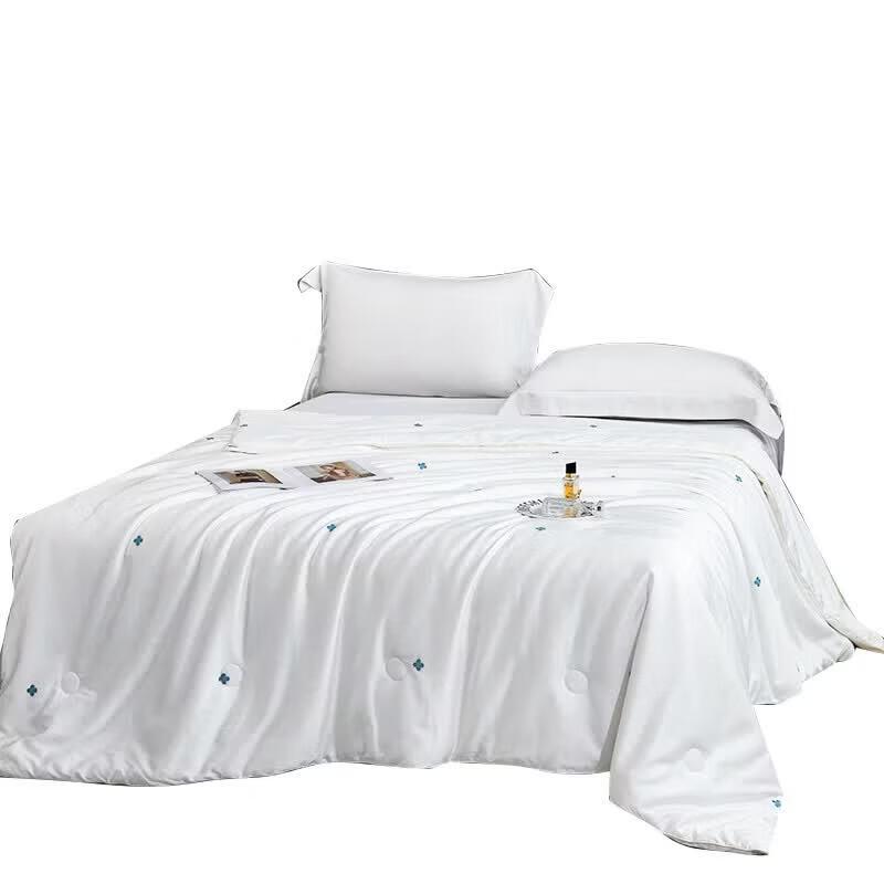 

Jinsili Tussah Silk All-Season Quilt