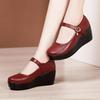 Genuine Leather Women's Shoes Girls' Shoes Fashion High Heels Pumps Wedges Black Comfortable Female Thick Bottom Platform Shoes