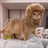 Pet Humorous Lion Head Cover Mane Headgear For Dogs And Cats Adjustable Costume Accessories Supplies For Fun Dress-up And Play