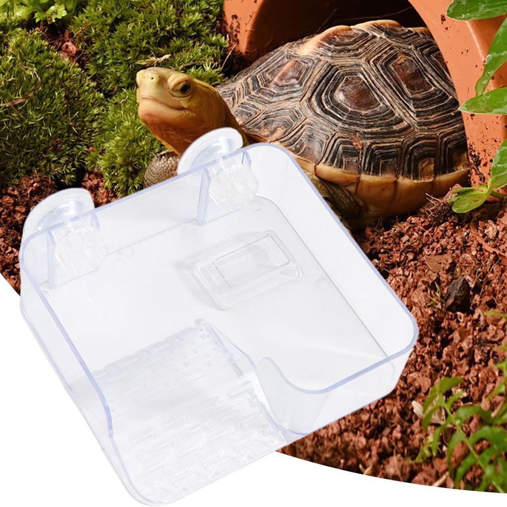 Turtle Basking Suction Cup Clear Ramp Ramp Dock Adjustable Height For Tank Aquarium Habitat Reptile Pet Care Aquatic Terrarium