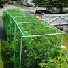 2x10m Reusable Green Fruit Tree Netting, Garden Netting to Protect Fruit Trees, Plants and Vegetables from Birds and Birds