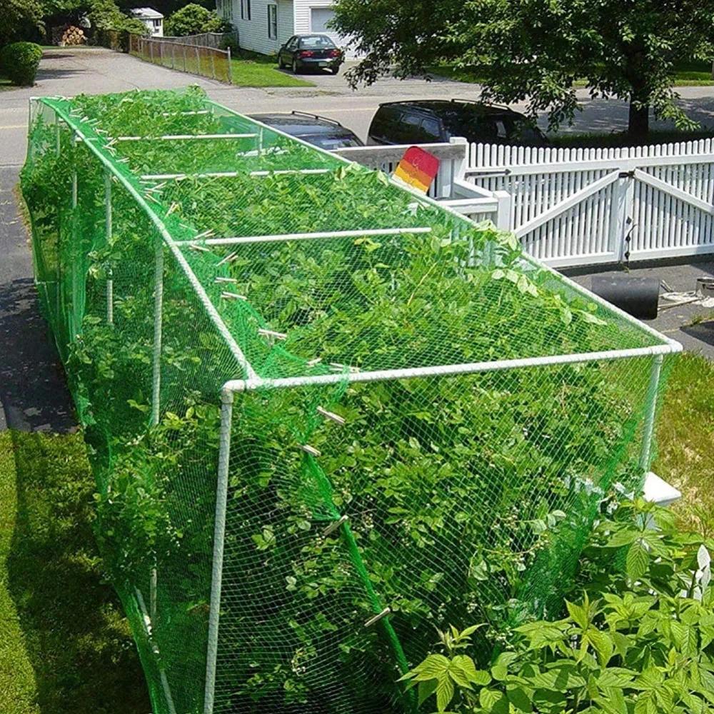 2x10m Reusable Green Fruit Tree Netting, Garden Netting to Protect Fruit Trees, Plants and Vegetables from Birds and Birds