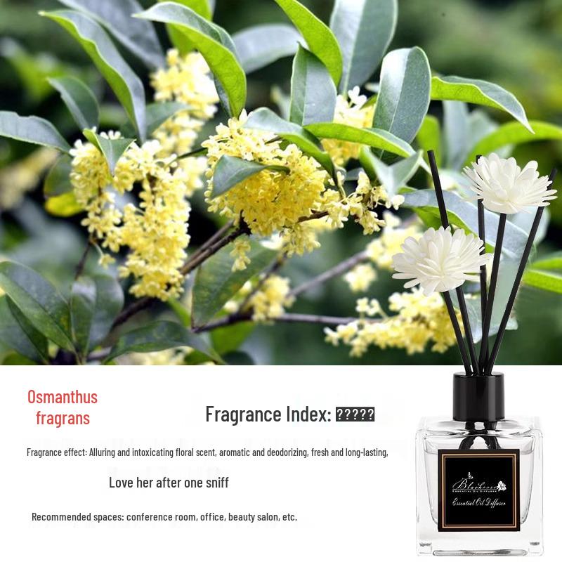Flameless Aromatherapy Essential Oil Air Freshener for Home and Bathroom