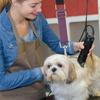 Pet Grooming Arm Extension Strap Adjustable Quick Release Dog Grooming Leash Grooming