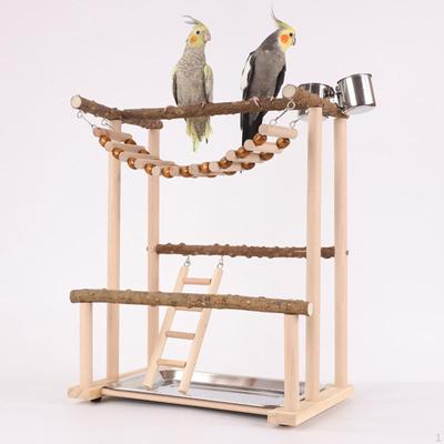 Παιδική χαρά Παπαγάλου, Σταντ παιχνιδιού, Παιχνίδια γυμναστικής, Ξύλινη Πέρκα Parakeet Bird, Γυμναστήριο,